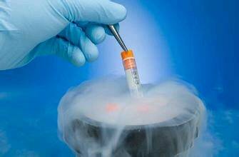 胚胎实验室